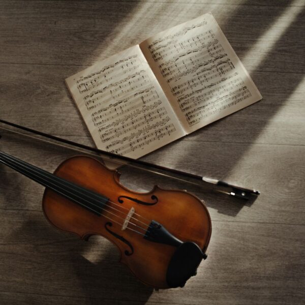 Yaylı Enstrüman Yapımı Eğitimi Sertifika Programı - El Yapımı Yaylı Enstrümanlarınızı Kendiniz Yapın