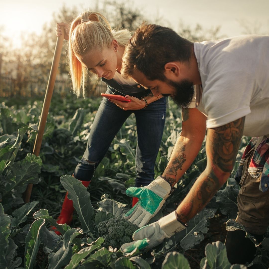 Metot Validasyonu ve Ölçüm Belirsizliği Eğitimi | Sertifika Programı