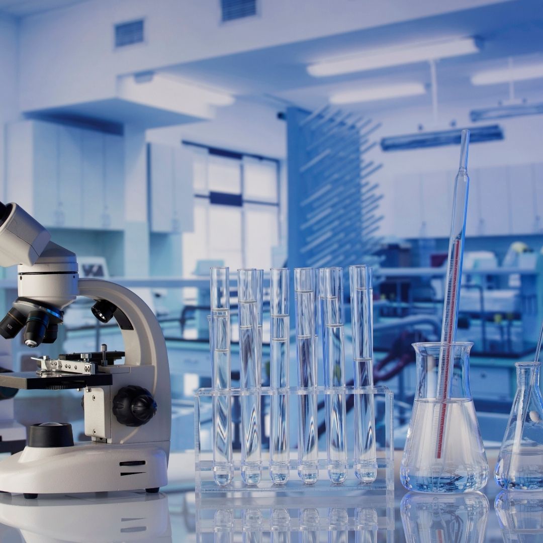 İş Yeri Sendika Temsilcisi Eğitimi | Sertifika Programı