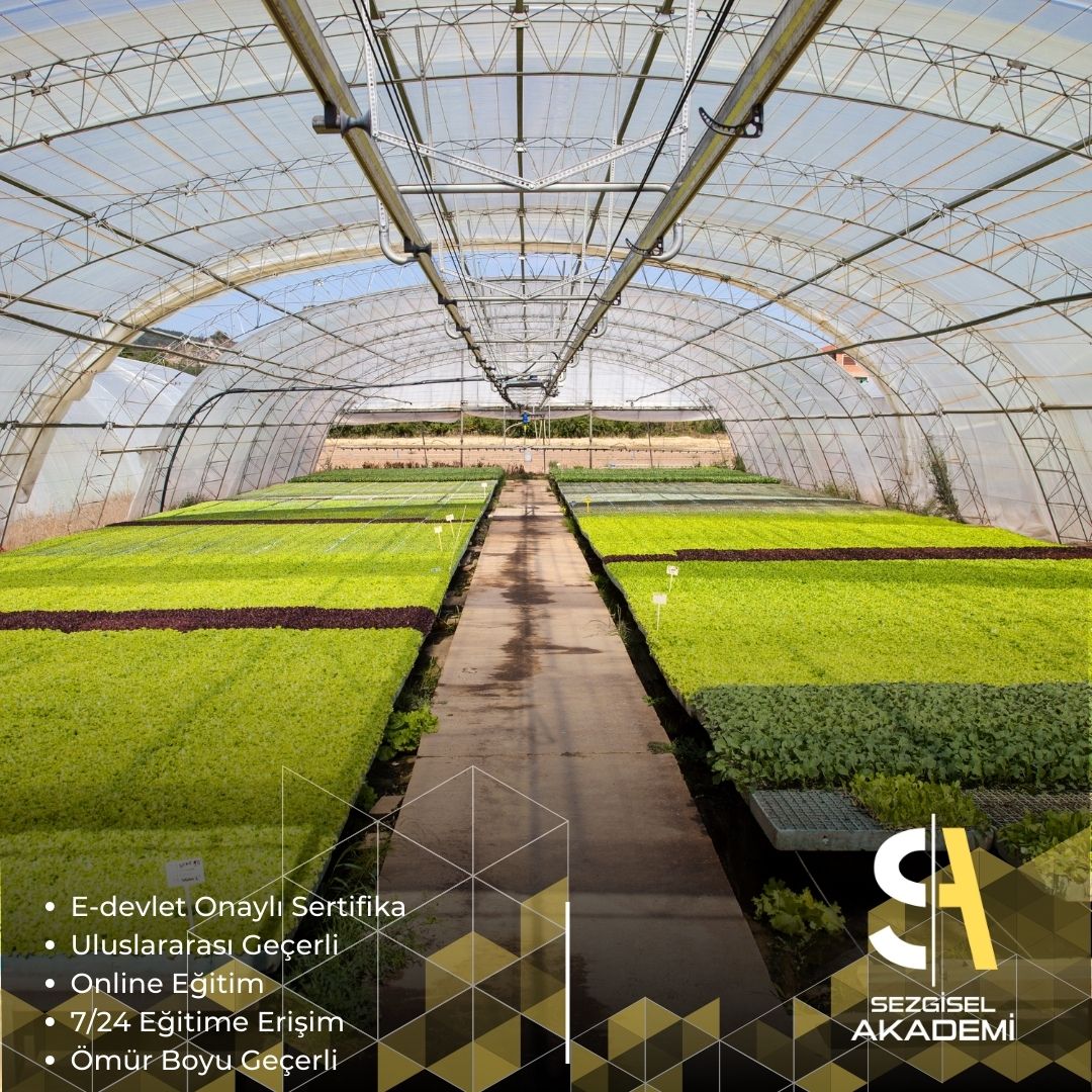 Endüstri Bitkileri Yetiştiriciliği Eğitimi Sertifika Programı