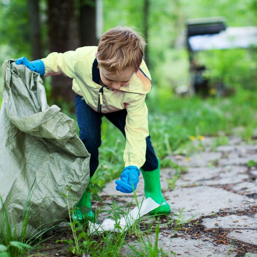 ISO 14001 Çevre Yönetim Sistemi Eğitimi | Sertifika Programı