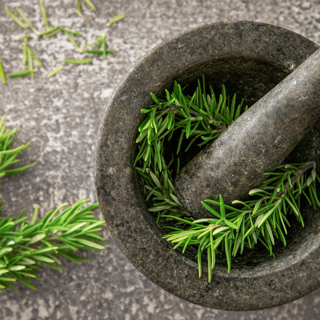 Tıbbi ve Aromatik Bitki Yetiştiriciliği Eğitimi Sertifika Programı